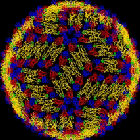 Virus del dengue